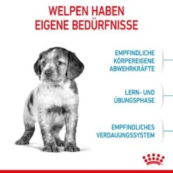 Royal Canin Medium Puppy Für Welpen Mittelgroßer Hunderassen 4 Kg Trockenfutter 15 Royal Canin Medium Puppy Für Welpen Mittelgroßer Hunderassen 4 Kg Trockenfutter -Hills Verkaufsgeschäft TygQwR35BMyl 3182550402132 2905 3