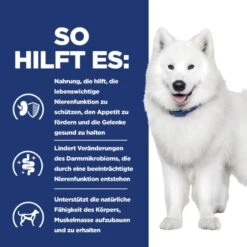 Hills K/d + Mobility Trockenfutter Für Hunde 4 Kg Trockenfutter Für Hunde -Hills Verkaufsgeschäft UASo73SBpu9z 52742047140 5