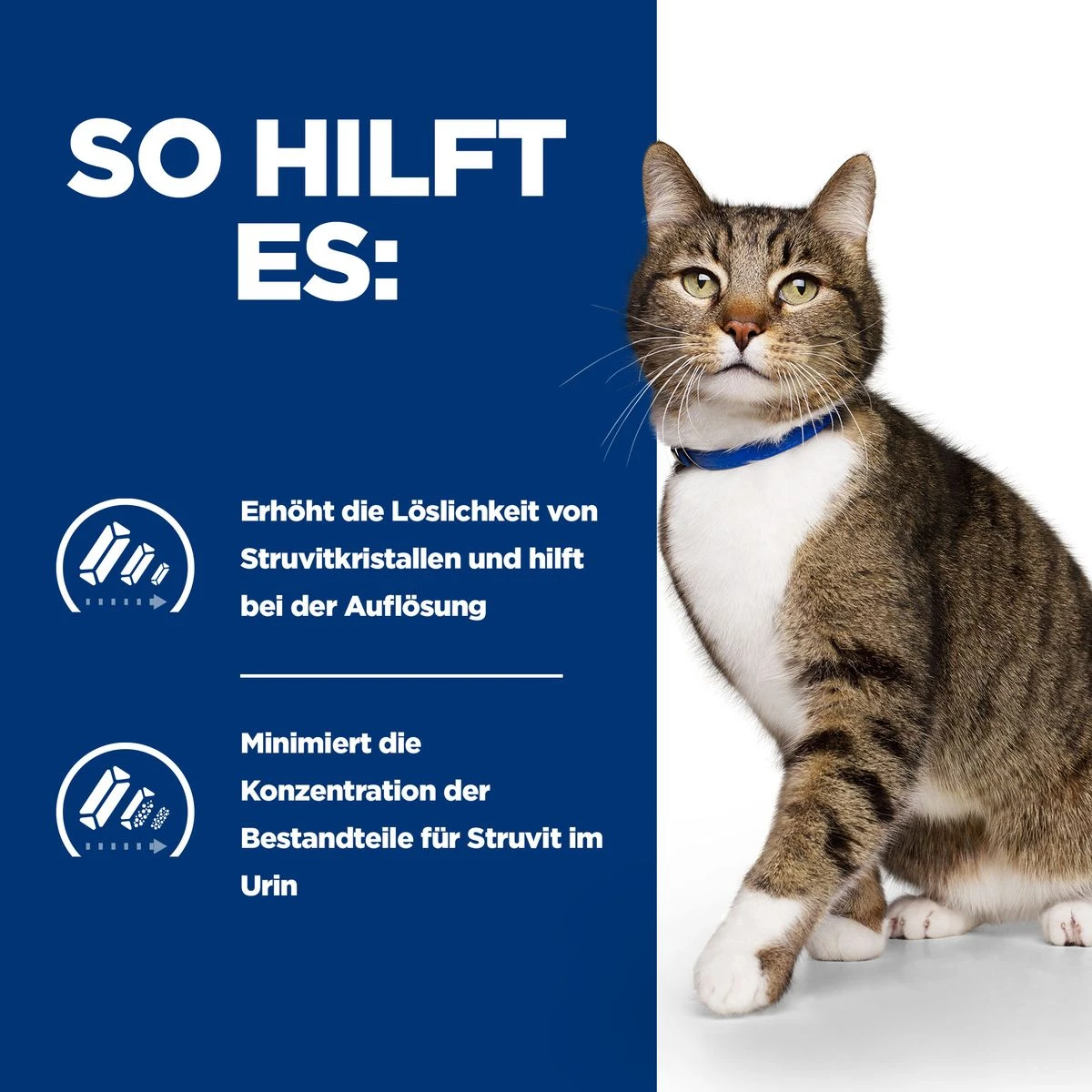 Hills Prescription Diet S/d Nassfutter Für Katzen Mit Huhn 12 X 85 G Frischebeutel 6 Hills Prescription Diet S/d Nassfutter Für Katzen Mit Huhn 12 X 85 G Frischebeutel – Bild 4