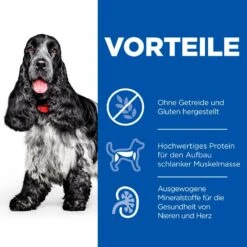 Hills Science Plan No Grain Mature Adult 7+ Trockenfutter Für Hunde 14 Kg Trockenfutter Für Hunde -Hills Verkaufsgeschäft W04JpAoQT4ft 52742037271 3