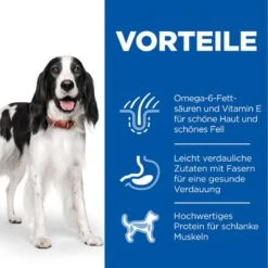Hills Science Plan Canine Adult Rind Dosenfutter Für Hunde 12 X 370 G Dosenfutter Mit Rind 8 Hills Science Plan Canine Adult Rind Dosenfutter Für Hunde 12 X 370 G Dosenfutter Mit Rind -Hills Verkaufsgeschäft WMoWFwFx1WXX 52742051581 3