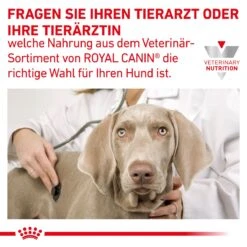Royal Canin Gastrointestinal Low Fat Hundefutter In Dosen 12 X 200 G Low Fat Mousse Dosenfutter -Hills Verkaufsgeschäft WQmAY4AdUUrh 9003579024515 58 8