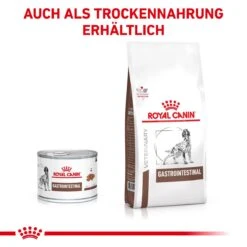 Royal Canin Gastrointestinal Dosenfutter Für Hunde 12 X 400 G Dosenfutter Für Hunde -Hills Verkaufsgeschäft WaoiGVvDEnZZ 9003579311998 53 3.jpeg
