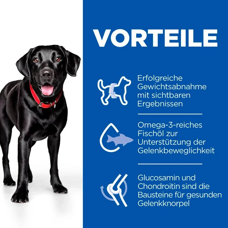 Hills Science Plan Canine Perfect Weight + Active Mobility Adult Large Breed Trockenfutter 12 Kg Huhn Trockenfutter 5 Hills Science Plan Canine Perfect Weight + Active Mobility Adult Large Breed Trockenfutter 12 Kg Huhn Trockenfutter – Bild 3