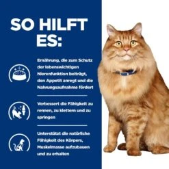 Hills K/d + Mobility Frischebeutel Für Katzen 12 X 85 G Frischebeutel Für Katzen -Hills Verkaufsgeschäft YmxOI0hQh612 52742011561 4
