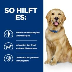 Hills J/D Dosenfutter Für Hunde 12 X 370 G Dosen -Hills Verkaufsgeschäft aoW0YCHBgHVf 52742055244 4