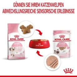 Royal Canin Kitten Frischebeutel Mousse 12 X 85 G Mousse Frischebeutel -Hills Verkaufsgeschäft cAFOkJDYaZEU 9003579003831 4505 5