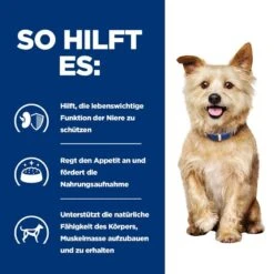 Hills K/D Für Hunde Dosenfutter Mit Huhn 12 X 370 G Dosenfutter Für Hunde -Hills Verkaufsgeschäft cwOoYyVRS8Eh 52742053158 4