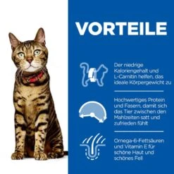 Hills Science Plan Feline Adult Light Huhn Trockenfutter Für Katzen 10 Kg Huhn Trockenfutter Für Katzen 8 Hills Science Plan Feline Adult Light Huhn Trockenfutter Für Katzen 10 Kg Huhn Trockenfutter Für Katzen -Hills Verkaufsgeschäft dlDhabaZSXRt 52742752006 3