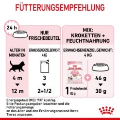 Royal Canin Kitten Frischebeutel Mousse 12 X 85 G Mousse Frischebeutel -Hills Verkaufsgeschäft giLHhyLgFmFd 9003579003831 4505 7