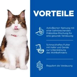 Hills Science Plan Feline Perfect Digestion Adult Trockenfutter Für Katzen 7 Kg Huhn & Reis Trockenfutter Für Katzen -Hills Verkaufsgeschäft gurunVXztPFx 52742043265 3