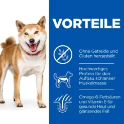 Hills Science Plan Canine Adult No Grain Medium Huhn Trockenfutter 14 Kg Trockenfutter Mit Huhn -Hills Verkaufsgeschäft hVJYWE3RkqNb 52742037080 3