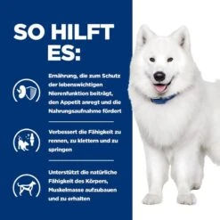 Hills K/d + Mobility Ragout In Dosen Für Hunde 12 X 354 G Dosenfutter Für Hunde -Hills Verkaufsgeschäft iIWgzwnxkqQc 52742021423 4