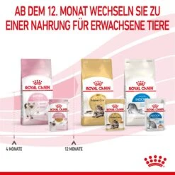 Royal Canin Kitten Frischebeutel Mit Gelee 12 X 85 G In Gelee Frischebeutel -Hills Verkaufsgeschäft jMh8l7ma7Zjd 9003579311783 4503 8