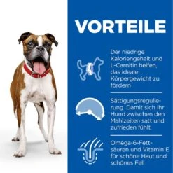 Hills Science Plan Canine Light Adult Medium Mit Huhn Trockenfutter 14 Kg Trockenfutter -Hills Verkaufsgeschäft jkGSggzywVXb 52742025834 3