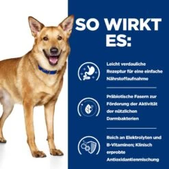 Hills I/d Ragout In Dosen Für Hunde 12 X 354 G Dosenfutter Für Hunde -Hills Verkaufsgeschäft jmtacag0nmXa 52742039855 3