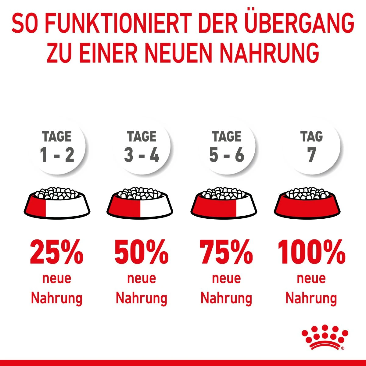 Royal Canin Medium Puppy Für Welpen Mittelgroßer Hunderassen 4 Kg Trockenfutter 12 Royal Canin Medium Puppy Für Welpen Mittelgroßer Hunderassen 4 Kg Trockenfutter – Bild 10