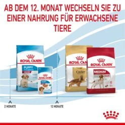 Royal Canin Medium Puppy Für Welpen Mittelgroßer Hunderassen 4 Kg Trockenfutter 18 Royal Canin Medium Puppy Für Welpen Mittelgroßer Hunderassen 4 Kg Trockenfutter -Hills Verkaufsgeschäft ksgbCnfpgzoI 3182550402132 2905 6