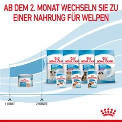 Royal Canin Starter Ultra Soft Mousse Für Welpen 12 X 195 G -Hills Verkaufsgeschäft lRJix8xKobIA 9003579020036 4300 8