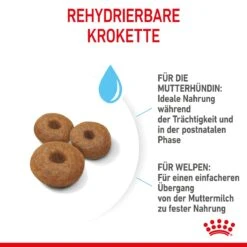 Royal Canin Maxi Starter Trockenfutter 15 Kg Trockenfutter Für Hunde -Hills Verkaufsgeschäft lY9OgJAc4h3D 3182550778787 2525 5