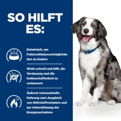 Hills I/d Sensitive ActivBiome+ Mit Ei Und Reis Trockenfutter Für Hunde 1,5 Kg ActivBiome+ Trockenfutter Für Hunde -Hills Verkaufsgeschäft lyyXXUl4jXb6 52742043821 4