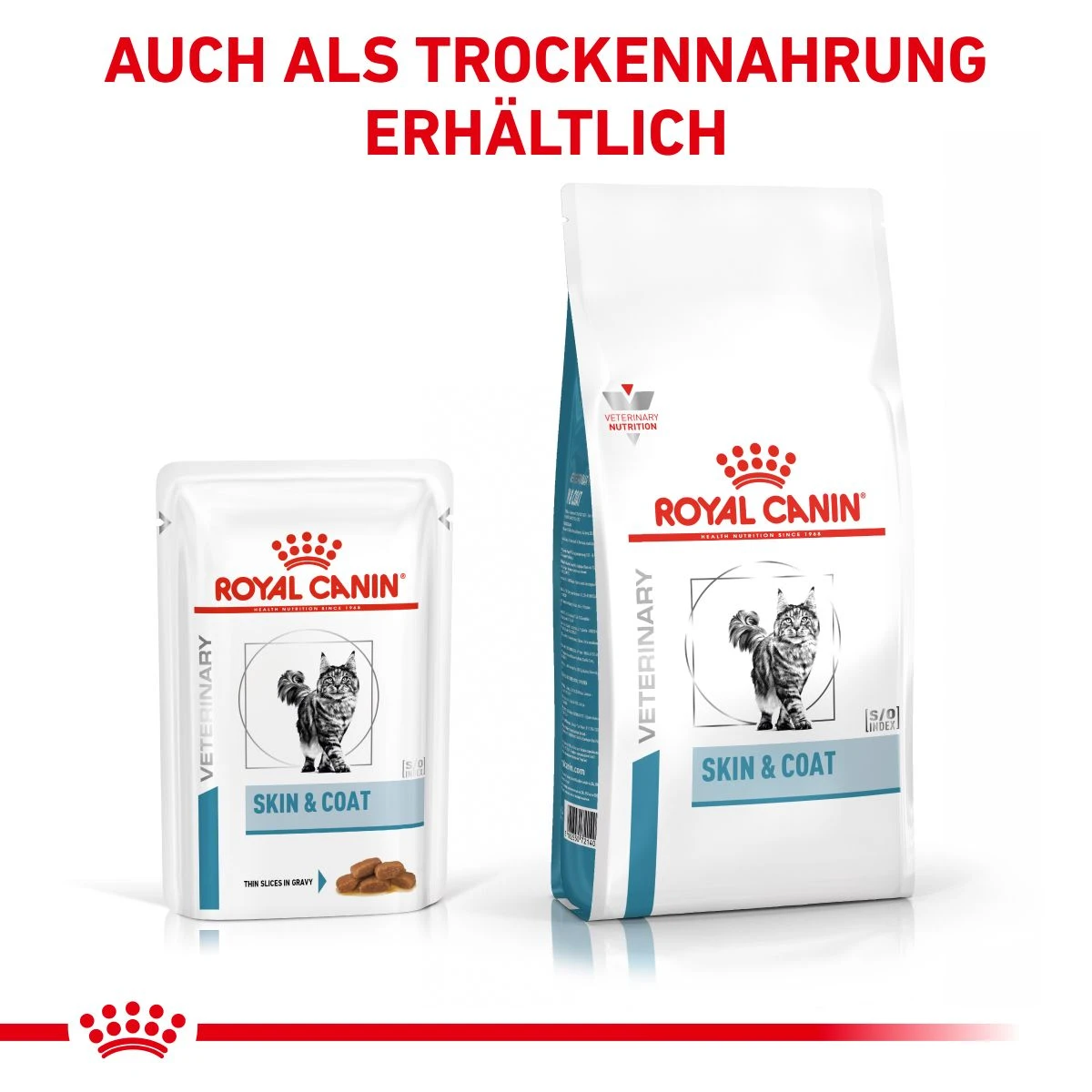 Royal Canin Skin & Coat Frischebeutel Für Katzen 12 X 85 G Frischebeutel Für Katzen 4 Royal Canin Skin & Coat Frischebeutel Für Katzen 12 X 85 G Frischebeutel Für Katzen – Bild 2