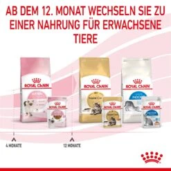 Royal Canin Kitten Second Age Für Kätzchen Bis Zum 12. Monat 12 X 85 G In Soße Frischebeutel -Hills Verkaufsgeschäft mOI5u1yxXlGH 9003579308745 4501 9