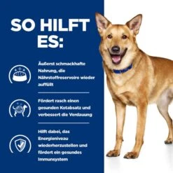 Hills I/d Trockenfutter Für Hunde 1,5 Kg Mit ActivBiome+ Trockenfutter Für Hunde -Hills Verkaufsgeschäft mmVbc7epMwex 52742043166 4