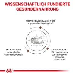 Royal Canin Hepatic Trockenfutter Für Katzen 2 Kg Katze Trockenfutter -Hills Verkaufsgeschäft mu2KSTrN1TEn 3182550787987 5114 4