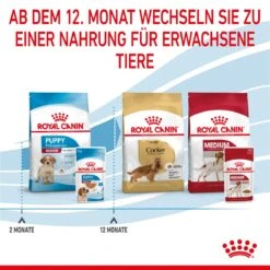 Royal Canin Medium Puppy Frischebeutel 10 X 140 G Frischebeutel Für Hunde -Hills Verkaufsgeschäft n7NvOEGhibri 9003579008324 4711 8