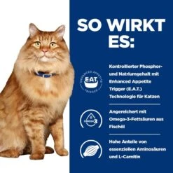 Hills K/d + Mobility Frischebeutel Für Katzen 12 X 85 G Frischebeutel Für Katzen -Hills Verkaufsgeschäft nEzvosmhPO44 52742011561 3