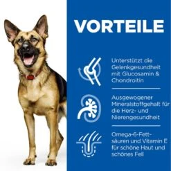 Hills Science Plan Canine Mature Adult 6+ Large Breed Hund Trockenfutter 14 Kg Trockenfutter Mit Huhn -Hills Verkaufsgeschäft oArdzlXOj0lq 52742183008 3