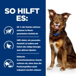 Hills Canine Metabolic Dosenfutter Für Hunde 12 X 370 G Dosenfutter Für Hunde -Hills Verkaufsgeschäft od2UwivO6ur8 52742053059 4