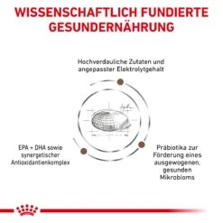 Royal Canin Gastrointestinal Trockenfutter Für Hunde 2 Kg Trockenfutter Für Hunde -Hills Verkaufsgeschäft p0NKRvr1tB5I 3182550905695 908 4