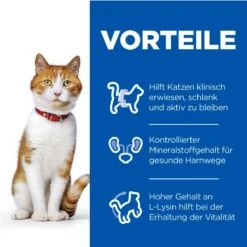 Hills Science Plan Feline Sterilised Cat Adult Huhn Frischebeutel 12 X 85 G Huhn Frischebeutel -Hills Verkaufsgeschäft pFr9SY6AJ615 52742194103 3