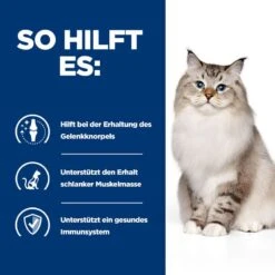 Hills J/D Trockenfutter Für Katzen 1,5 Kg Trockenfutter Für Katzen 10 Hills J/D Trockenfutter Für Katzen 1,5 Kg Trockenfutter Für Katzen -Hills Verkaufsgeschäft qxAiHb4IIKhR 52742048352 4