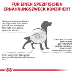 Royal Canin Gastrointestinal Low Fat Hundefutter In Dosen 12 X 200 G Low Fat Mousse Dosenfutter -Hills Verkaufsgeschäft rCrJxjhmgpld 9003579024515 58 5