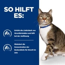 Hills S/d Katze Urinary Care Trockenfutter Für Katzen 1,5 Kg Trockenfutter -Hills Verkaufsgeschäft s6eVZDtvhN2C 52742918907 4