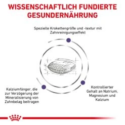 Royal Canin Dental Small Dogs Trockenfutter Für Hunde 1,5 Kg Trockenfutter Für Hunde -Hills Verkaufsgeschäft sGLNU7LFzIe9 3182550783910 333 4