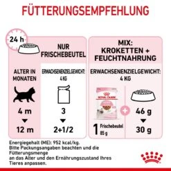 Royal Canin Kitten Second Age Für Kätzchen Bis Zum 12. Monat 12 X 85 G In Soße Frischebeutel -Hills Verkaufsgeschäft swkPm3vSjNsn 9003579308745 4501 8