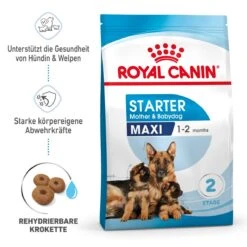 Royal Canin Maxi Starter Trockenfutter 15 Kg Trockenfutter Für Hunde -Hills Verkaufsgeschäft tnZcpVrdAUbo 3182550778787 2525 1