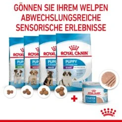 Royal Canin Starter Ultra Soft Mousse Für Welpen 12 X 195 G -Hills Verkaufsgeschäft tvOHDJBAvpgi 9003579020036 4300 5