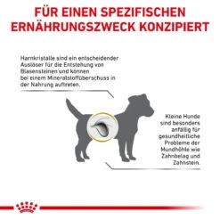 Royal Canin Urinary S/O Small Dogs Hundefutter 1,5 Kg Trockenfutter Für Hunde -Hills Verkaufsgeschäft xOcU0RVhGjm6 3182550780971 358 8