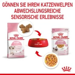 Royal Canin Kitten Frischebeutel Mit Gelee 12 X 85 G In Gelee Frischebeutel -Hills Verkaufsgeschäft xsbWn6zUMmTR 9003579311783 4503 5