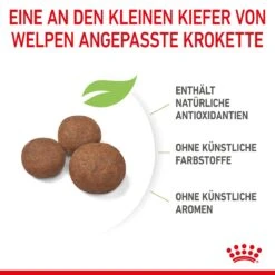 Royal Canin Medium Puppy Für Welpen Mittelgroßer Hunderassen 4 Kg Trockenfutter 17 Royal Canin Medium Puppy Für Welpen Mittelgroßer Hunderassen 4 Kg Trockenfutter -Hills Verkaufsgeschäft zqaPNdxNhtcB 3182550402132 2905 5